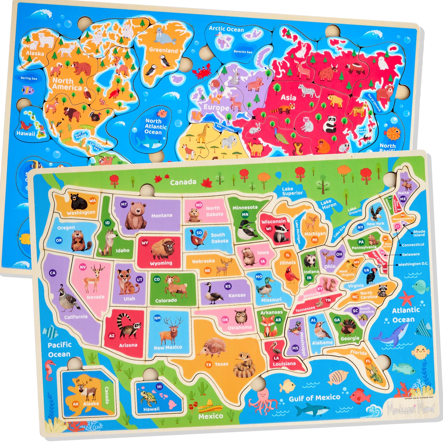 World & USA Map Puzzle Combo – 2 Wooden Educational Puzzles for Kids