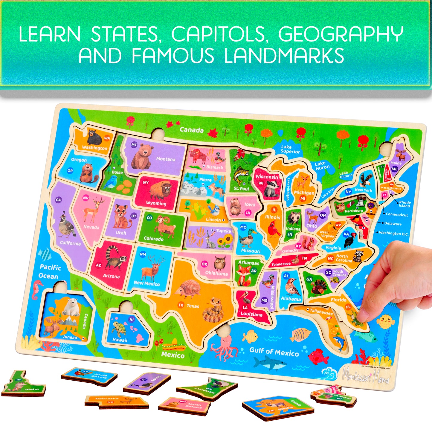 World & USA Map Puzzle Combo – 2 Wooden Educational Puzzles for Kids