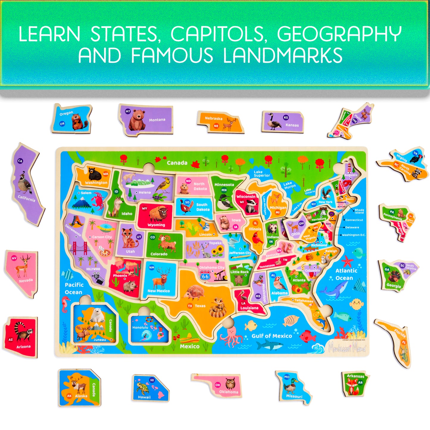 Wooden USA Map Puzzle – Learn States, Capitals & Geography with 37-Piece Puzzle