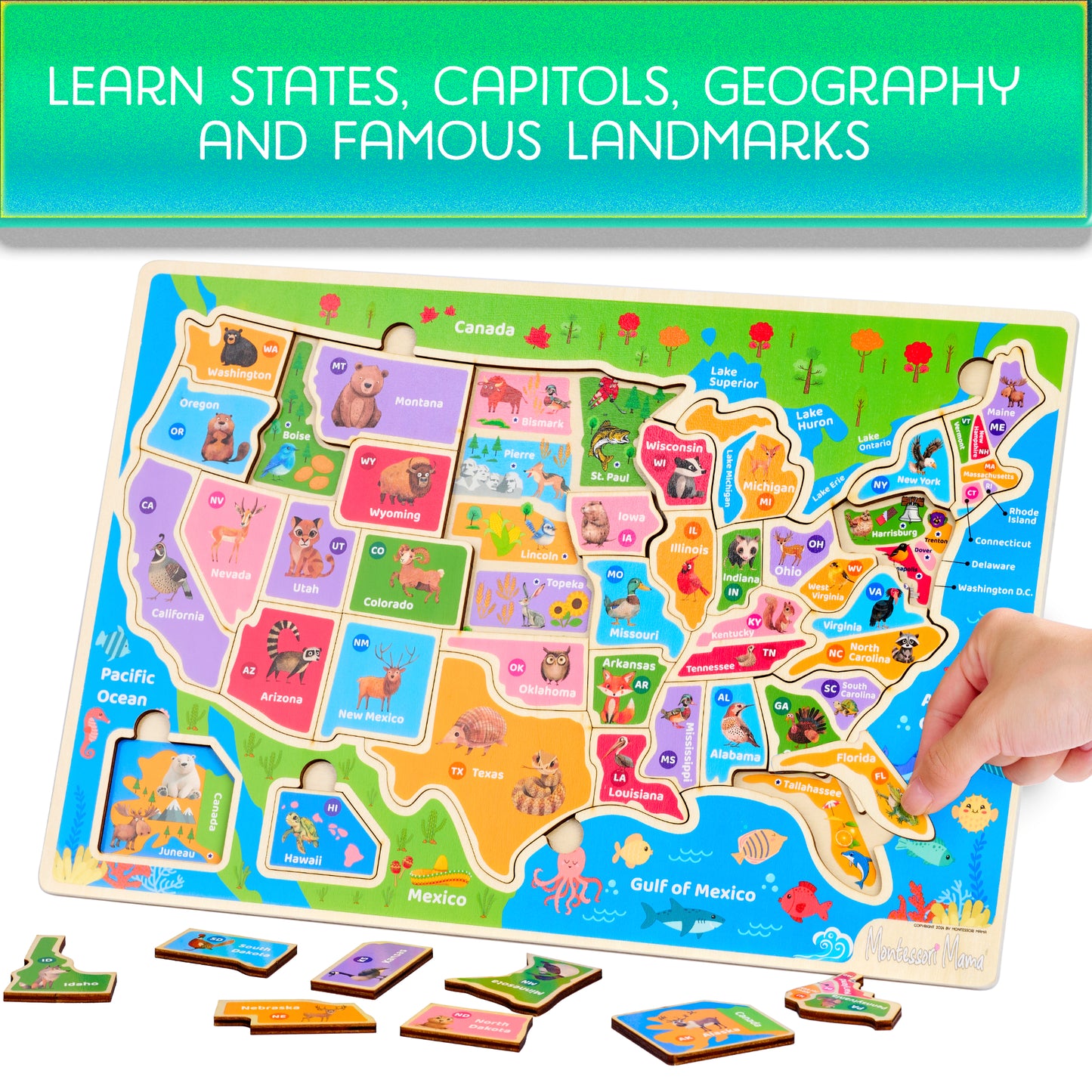 Wooden USA Map Puzzle – Learn States, Capitals & Geography with 37-Piece Puzzle