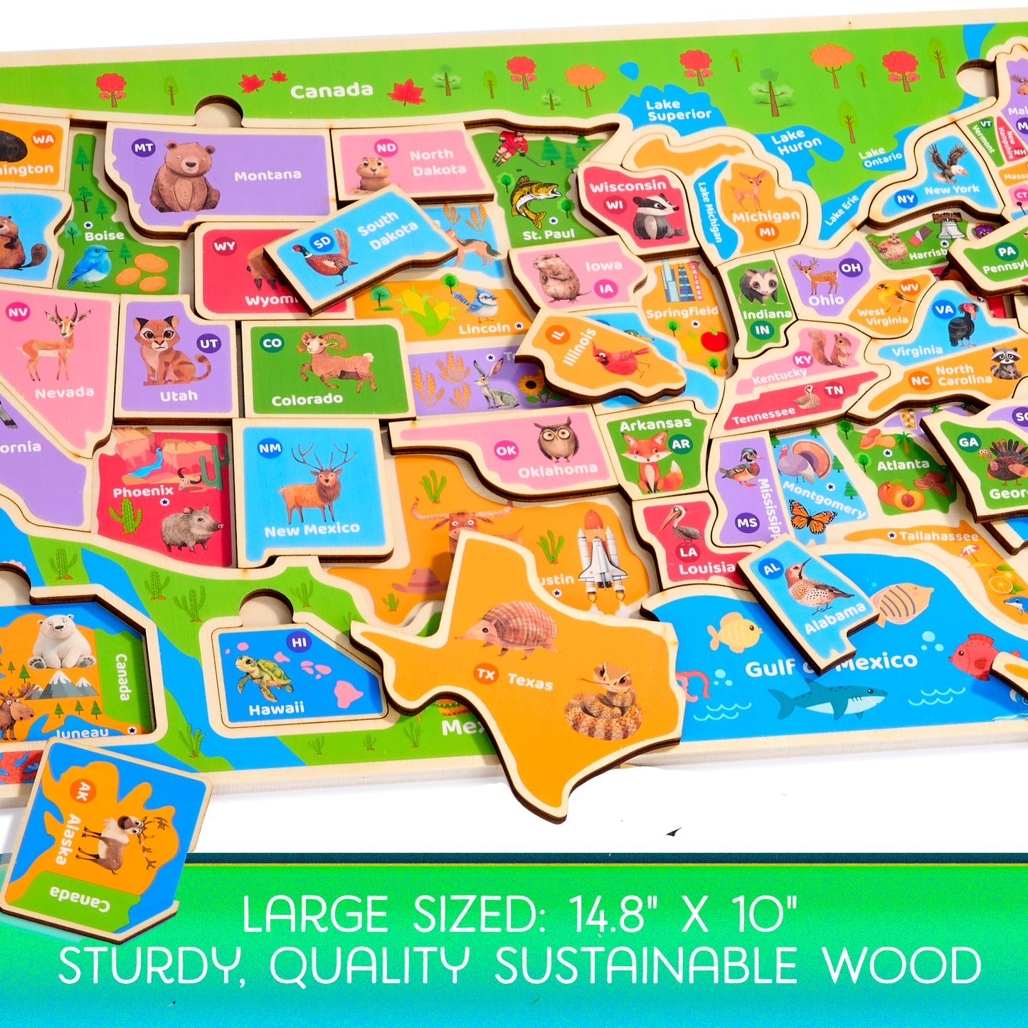 Wooden USA Map Puzzle – Learn States, Capitals & Geography with 37-Piece Puzzle